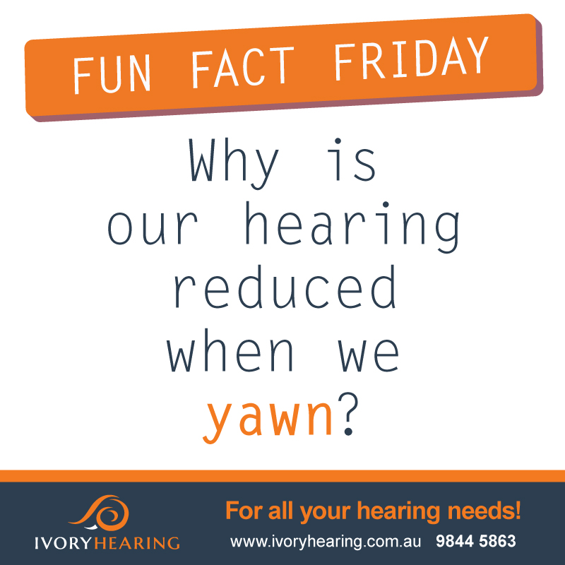 Fun Fact Friday – Why is our hearing reduced when we yawn?