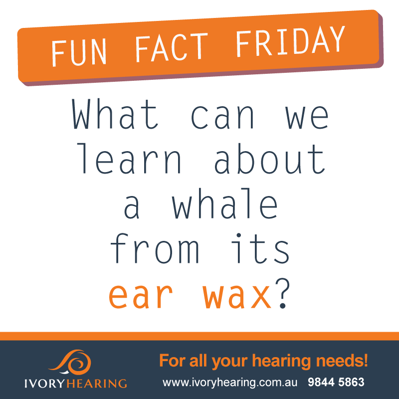 fun fact friday - whale ear wax